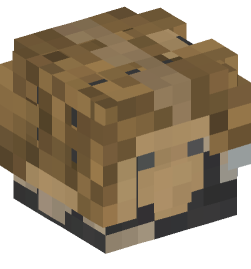 Minecraft head — People