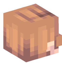 Minecraft head — People