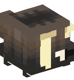 Minecraft head — People