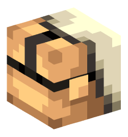 Minecraft head — People