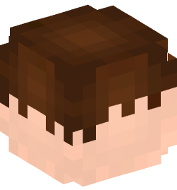 Minecraft head — People