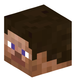 Minecraft head — People