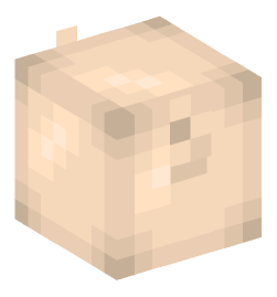 Minecraft head — Creatures