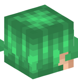 Minecraft head — People