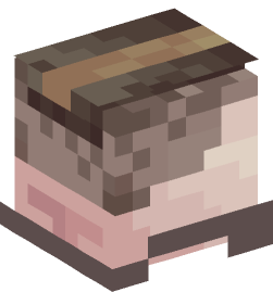 Minecraft head — People