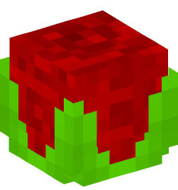 Minecraft head — Plants