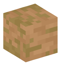 Minecraft head — Blocks