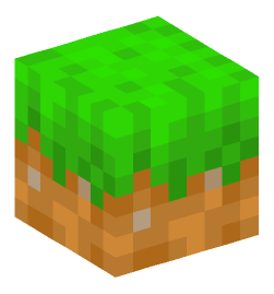 Minecraft head — Blocks