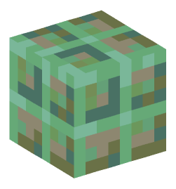 Minecraft head — Blocks