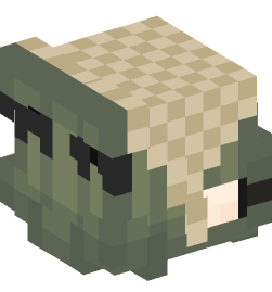 Minecraft head — People