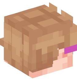 Minecraft head — People