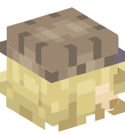 Minecraft head — Creatures