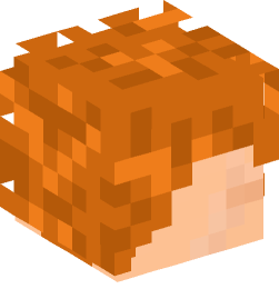 Minecraft head — People