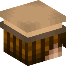 Minecraft head — People