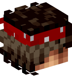 Minecraft head — People