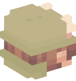 Minecraft head — People