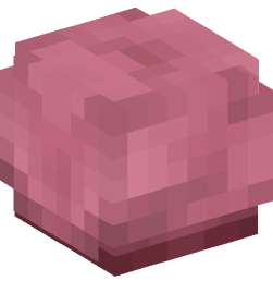 Minecraft head — Decor