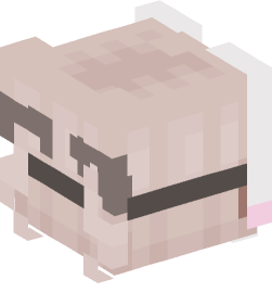 Minecraft head — People