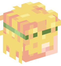 Minecraft head — People