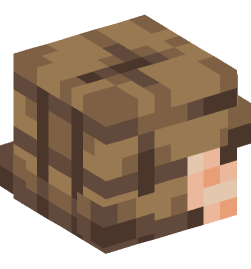 Minecraft head — People