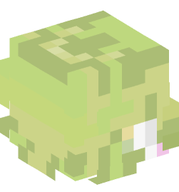 Minecraft head — People