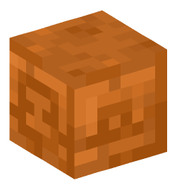 Minecraft head — Blocks