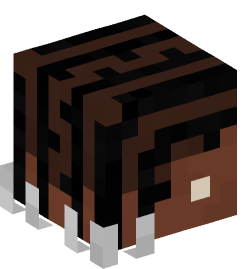 Minecraft head — People