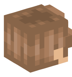 Minecraft head — People