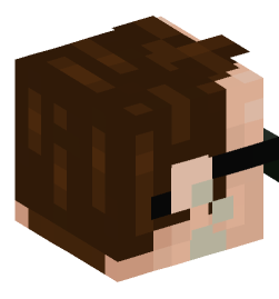 Minecraft head — People