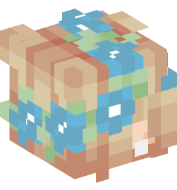 Minecraft head — People