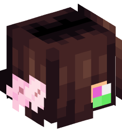 Minecraft head — People