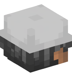 Minecraft head — People