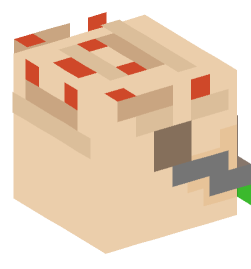 Minecraft head — Creatures