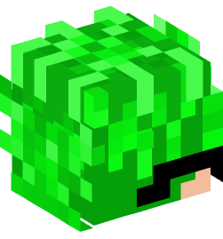 Minecraft head — People