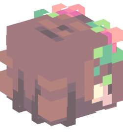 Minecraft head — People