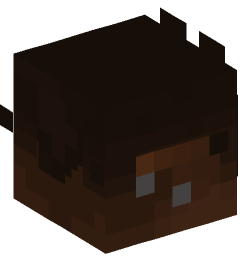 Minecraft head — Creatures