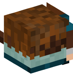 Minecraft head — Decor