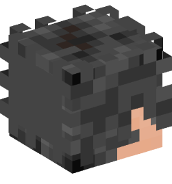 Minecraft head — People