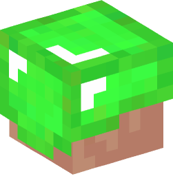 Minecraft head — People