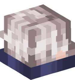 Minecraft head — People