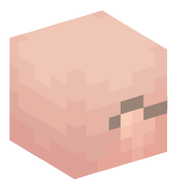 Minecraft head — People