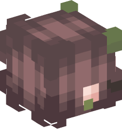 Minecraft head — Creatures