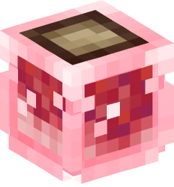 Minecraft head — Decor