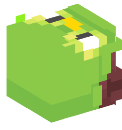 Minecraft head — People