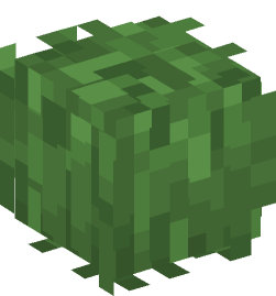 Minecraft head — Plants