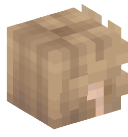 Minecraft head — People