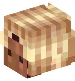 Minecraft head — People