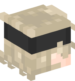 Minecraft head — People