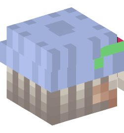 Minecraft head — People