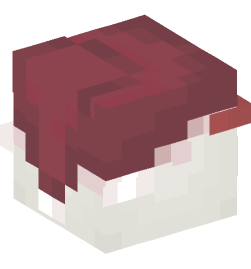 Minecraft head — Animals